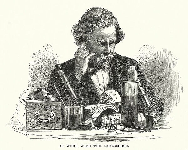 At work with the microscope (engraving)