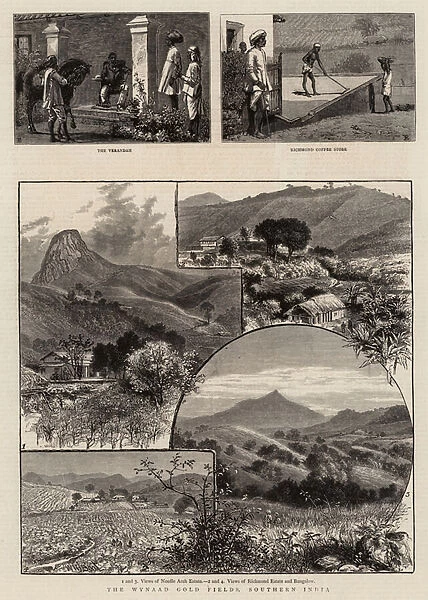 The Wynaad Gold Fields, Southern India (engraving)