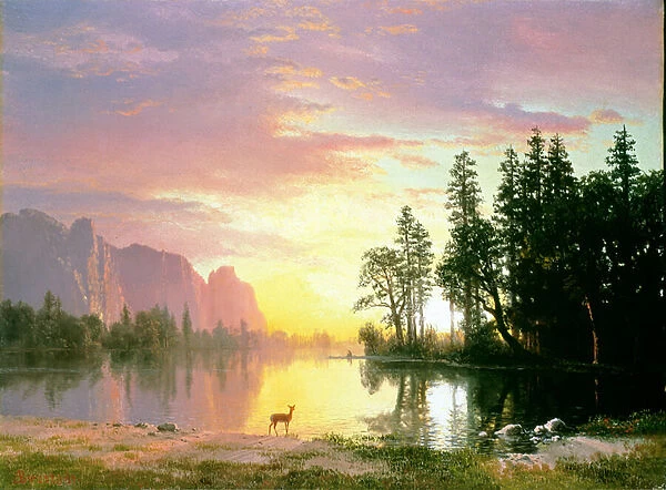 Yosemite Valley (oil on canvas)