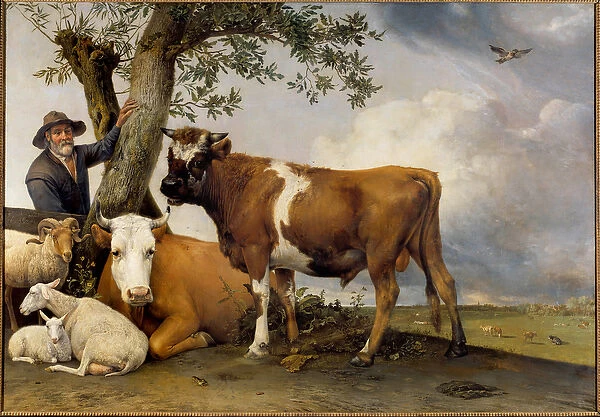 The young bull A shepherd and his cattle, belier, lamb, cow and bull