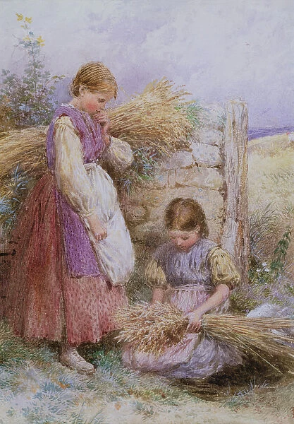 The Young Gleaners (w  /  c on paper)