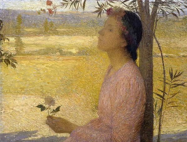 Young Woman with a Rose (oil on canvas)