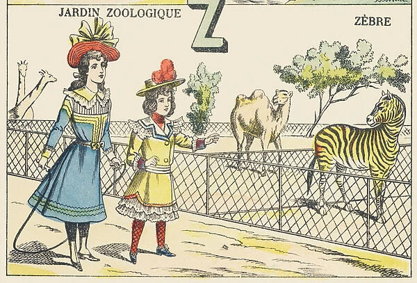 Z: zebra. 6346012 Z: zebra by French School, (19th century); 28x20.3 cm; (add.info.