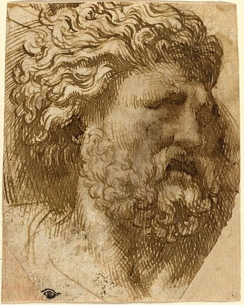 Domenico Campagnola, Italian (before 1500-1564), Head of a Man, pen and brown ink