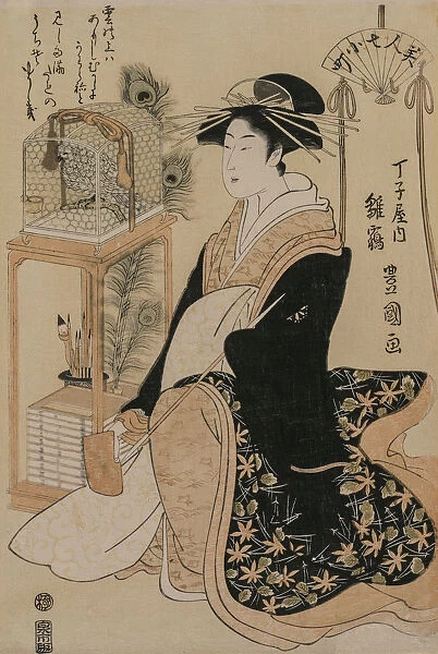 Hinazura Chōjiya series Beauties Seven Komachi