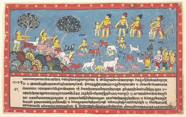 Krishna Balarama Cowherders Page Dispersed Bhagavata Purana