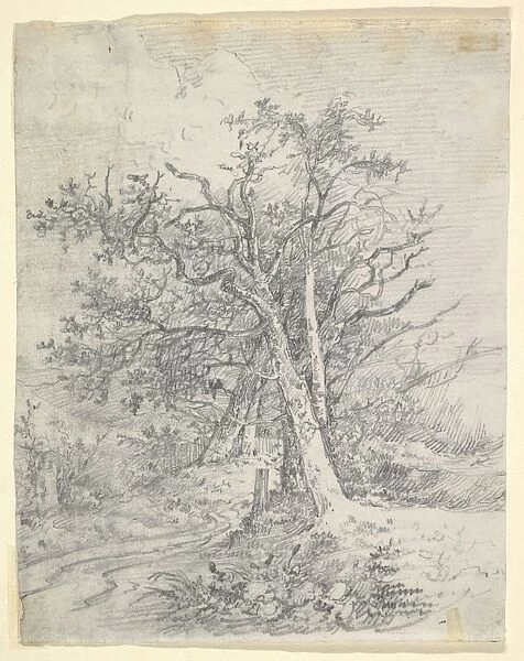 Study Tree Trunks Lane ca 1812 Graphite soft ground etching