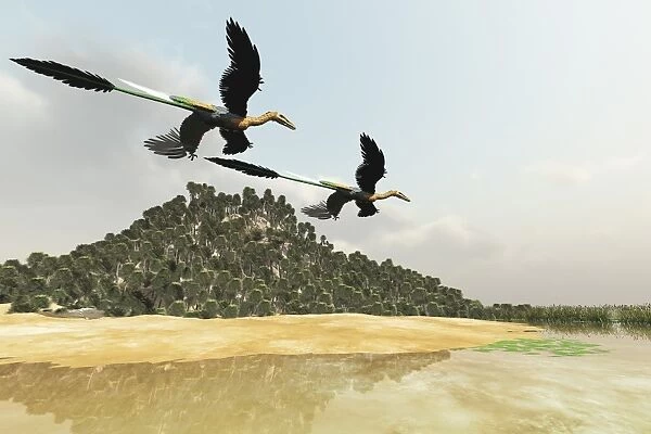 Two Microraptor dinosaurs fly over a wetland marsh in prehistoric times