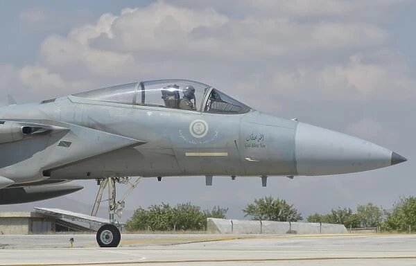 Nose cone of a Royal Saudi Air Force F-15C
