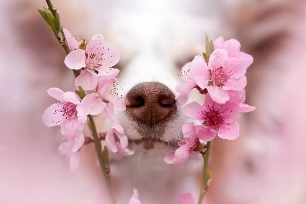 Sniff up the spring vibes