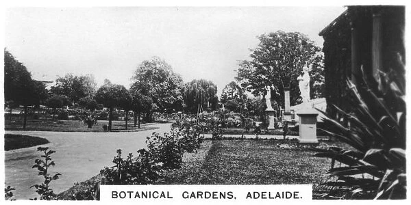 Botanical Gardens, Adelaide, Australia, 1928