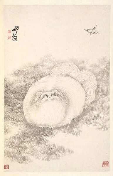 Cat and Butterfly, 1788. Creator: Min Zhen (Chinese, 1730-after 1788)