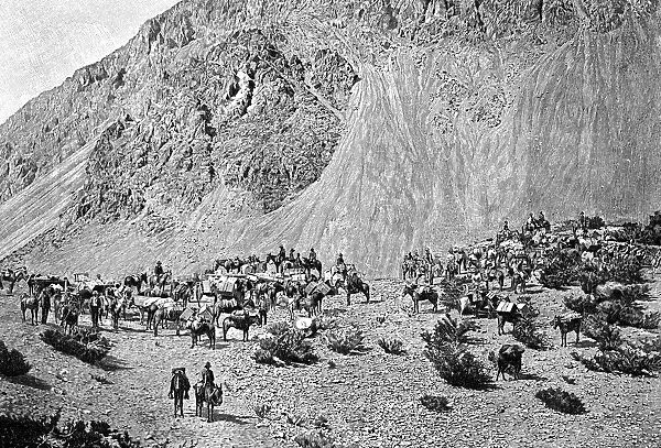 Convoy of muleteers at the foot of the Cordillera, South America, 1895