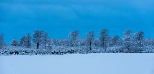 Danish Winter Morning. Creator: Dorte Verner