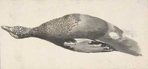 Dead Duck, 1685-1755. Creator: Giorgio Durante