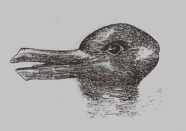 Duck-Rabbit illusion. From: Jastrow, J. The minds eye. Popular Science Monthly, 1899. Artist: Jastrow, Joseph (1863-1944)