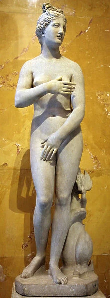 The Heritage Venus, Italian, 19th century