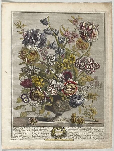 Twelve Months of Flowers: April, 1730. Creator: Henry Fletcher (British, active 1715-38)
