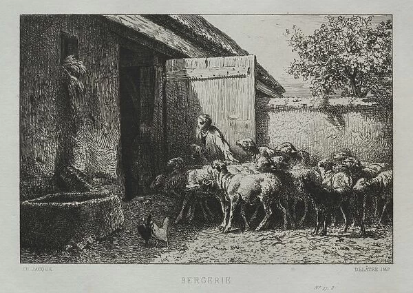 Sheepfold. Creator: Charles-Emile Jacque (French, 1813-1894)