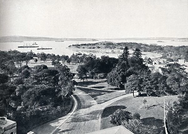 Sydney Harbour and Botanical Gardens, c1900. Creator: Unknown