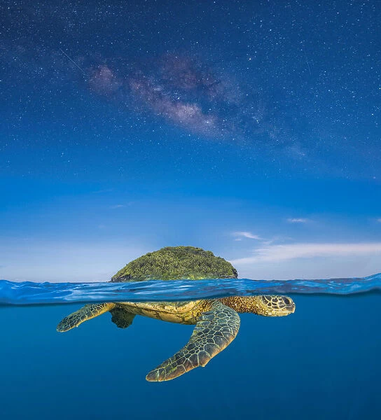 Turtle Island is the name for the lands now known as North and Central America. It is a name used by some Indigenous peoples who believe their land was formed on the back of a turtle. Though regional versions exist, the core of this creation story relates to a time when the planet was covered in water; Hawaii, United States of America