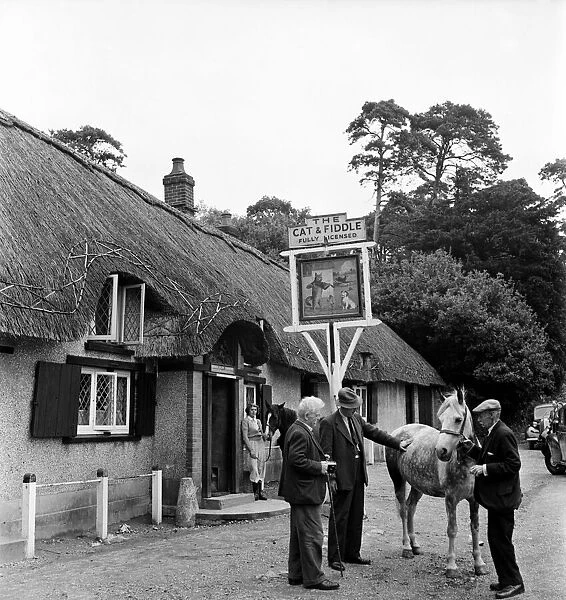 Horse trading at the Cat and Fiddle Inn, in the New Forest. August 1952 C4255