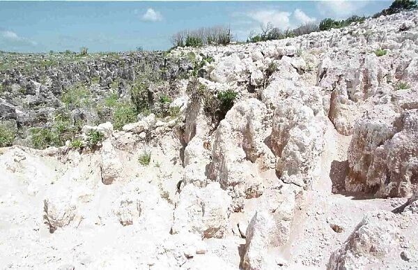 Mining of Nauru has turned the once lush land into a lunar landscape like place