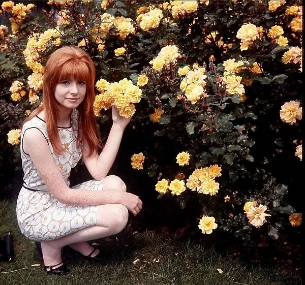 Singer, actress and model Jane Asher