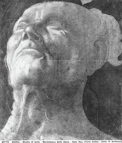 Male face study, drawing by Bartolomeo della Gatta preserved in the Gabinetto Nazionale delle Stampe (National Print Cabinet), Rome