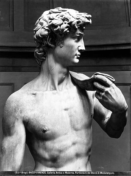 The torso of David by Michelangelo Buonarroti, located at the Academy of Art in Florence