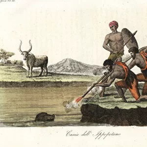 Abyssinians hunting hippopotamus with muskets and spears