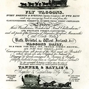 Advert for Tanner & Baylis Fly Waggons