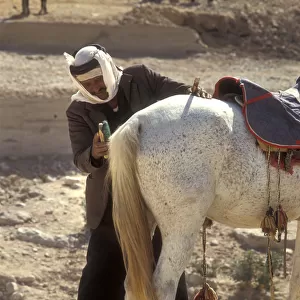 Arab man grooms Arabian horse