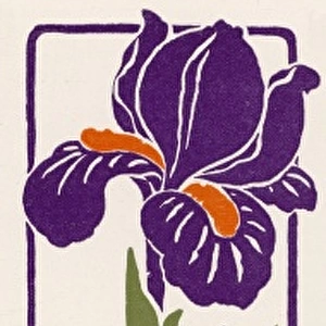 Art Nouveau Iris 1897
