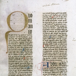 Bartholomew Rinonico (1338-1401). Summa de Casibus Conscient