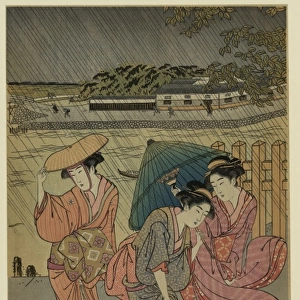 Three beauties in the rain