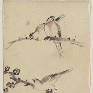 Three birds perched on branches, one with blossoms