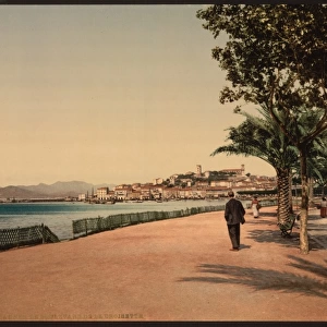 The boulevards, Cannes, Riviera