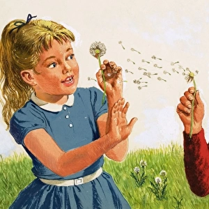 Boy blowing a dandelion clock