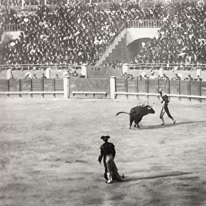 Bull fighting in Cordoba, Spain