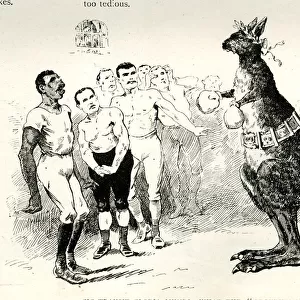 Cartoon, Boxing Kangaroo, What is the profession coming to?