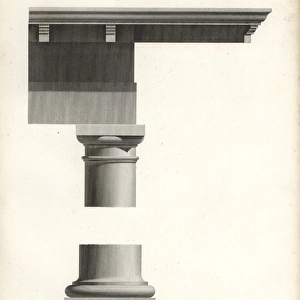 Column, capital and base of the Tuscan order