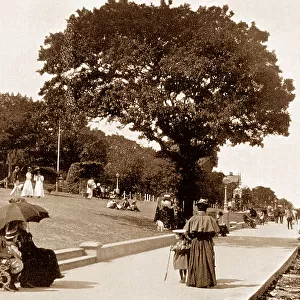 Cowes The Green Isle of Wight early 1900s