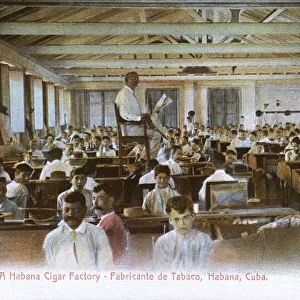 Cuban Cigar Factory interior - Havana, Cuba