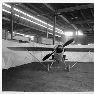Curtiss-Cox Model 22 - Texas Wildcat