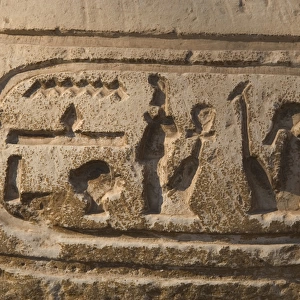 Egypt. Hieroglyphic writing. Cartridge