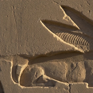 Egyptian Art. Relief depicting a hare, the sacred animal of