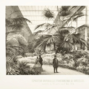 Exposition Universelle d Horticulture Bruxelles, 1864