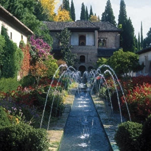 Generalife. SPAIN. ANDALUSIA. Granada. Alhambra