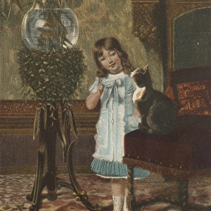 Girl with Cat / Goldfish
